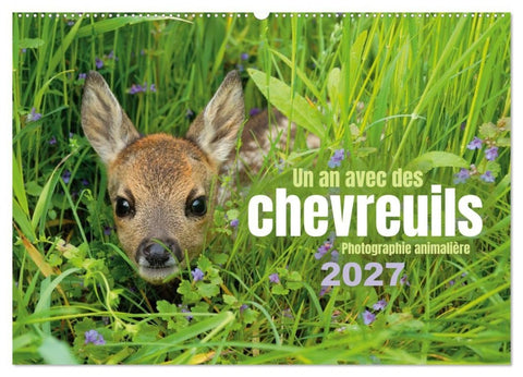 Un an avec des chevreuils (Calendrier mural 2027 DIN A2 vertical), CALVENDO calendrier mensuel