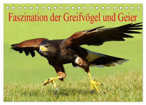 Faszination der Greifvögel und Geier (Tischkalender 2026 DIN A5 quer), CALVENDO Monatskalender