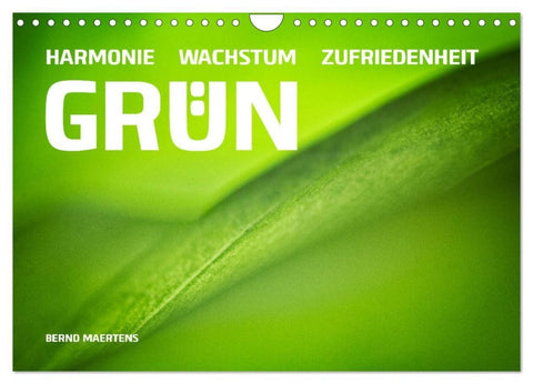 GRÜN Harmonie Wachstum Zufriedenheit (Wandkalender 2027 DIN A4 quer), CALVENDO Monatskalender