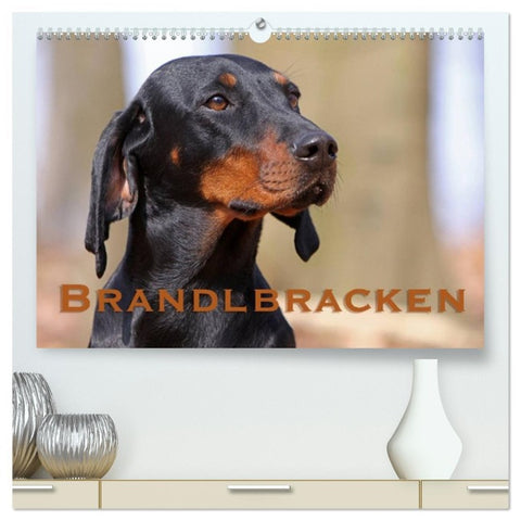 Brandlbracken (hochwertiger Premium Wandkalender 2026 DIN A2 quer), Kunstdruck in Hochglanz