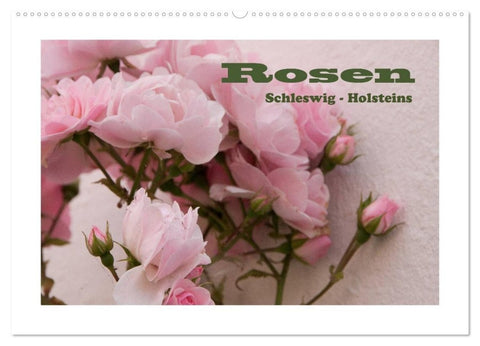 Rosen Schleswig-Holsteins (Wandkalender 2027 DIN A2 quer), CALVENDO Monatskalender