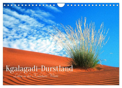 Kgalagadi-Durstland (Wandkalender 2027 DIN A4 quer), CALVENDO Monatskalender