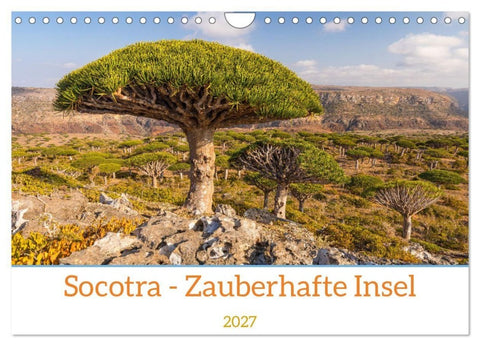 Socotra - Zauberhafte Insel (Wandkalender 2027 DIN A4 quer), CALVENDO Monatskalender
