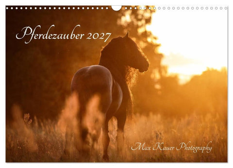 Pferdezauber 2027 (Wandkalender 2027 DIN A3 quer), CALVENDO Monatskalender