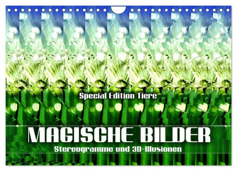 Magische Bilder - Stereogramme und 3D-Illusionen (Wandkalender 2026 DIN A4 quer), CALVENDO Monatskalender