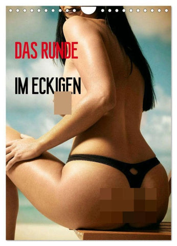 Das Runde im Eckigen / Planer (Wandkalender 2026 DIN A4 hoch), CALVENDO Monatskalender