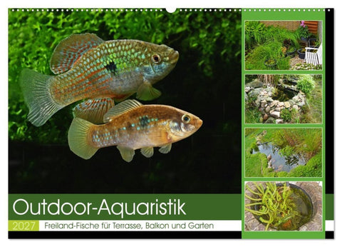Outdoor-Aquaristik (Wandkalender 2027 DIN A2 quer), CALVENDO Monatskalender