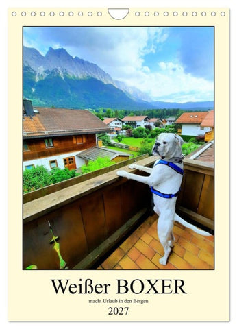 Weißer BOXER im Urlaub (Wandkalender 2027 DIN A4 hoch), CALVENDO Monatskalender