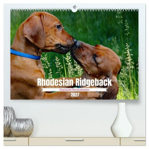 Rhodesian Ridgeback, Charmante Herzensbrecher (hochwertiger Premium Wandkalender 2027 DIN A2 quer), Kunstdruck in Hochglanz