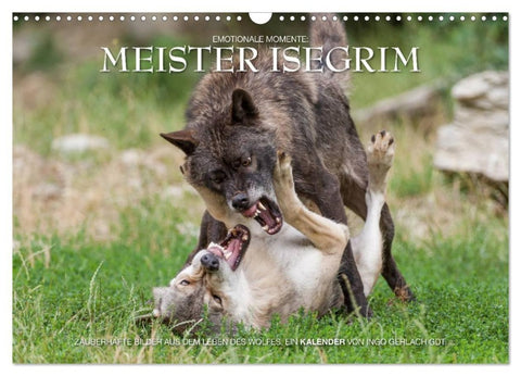 Meister Isegrim (Wandkalender 2027 DIN A3 quer), CALVENDO Monatskalender