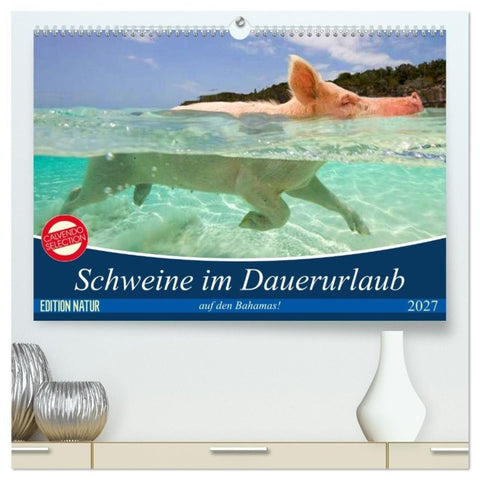 Schweine im Dauerurlaub auf den Bahamas! (hochwertiger Premium Wandkalender 2027 DIN A2 quer), Kunstdruck in Hochglanz