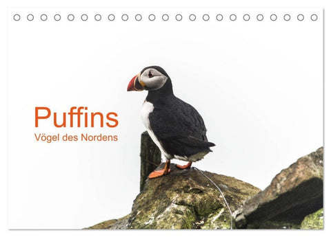 Puffins - Vögel des Nordens (Tischkalender 2027 DIN A5 quer), CALVENDO Monatskalender