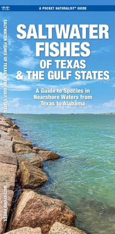 Saltwater Fishes of Texas & the Gulf States