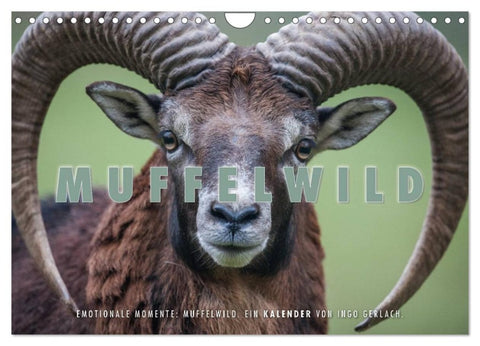 Emotionale Momente: Muffelwild. (Wandkalender 2027 DIN A4 quer), CALVENDO Monatskalender