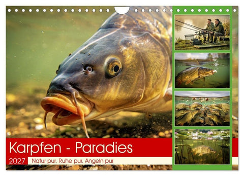 Karpfen - Paradies (Wandkalender 2027 DIN A4 quer), CALVENDO Monatskalender