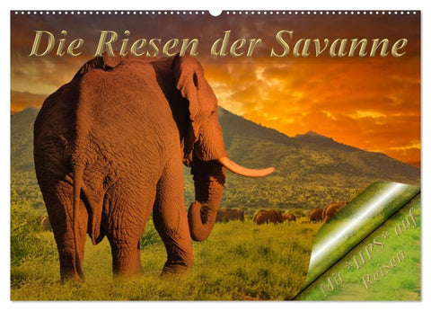 Die Riesen der Savanne (Wandkalender 2027 DIN A2 quer), CALVENDO Monatskalender