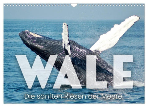 Wale - Die Riesen der Meere. (Wandkalender 2027 DIN A3 quer), CALVENDO Monatskalender