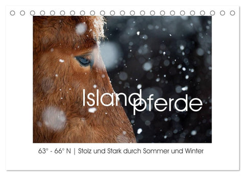 Islandpferde - Stolz und Stark durch Sommer und Winter (Tischkalender 2026 DIN A5 quer), CALVENDO Monatskalender