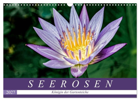 Seerosen - Königin der Gartenteiche (Wandkalender 2027 DIN A3 quer), CALVENDO Monatskalender