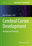 Cerebral Cortex Development