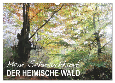 Mein Sehnsuchtsort, der heimische Wald (Wandkalender 2026 DIN A3 quer), CALVENDO Monatskalender