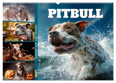 Pitbull - Energie auf vier Pfoten (Wandkalender 2027 DIN A2 quer), CALVENDO Monatskalender