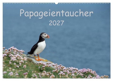Papageientaucher 2027 (Wandkalender 2027 DIN A2 quer), CALVENDO Monatskalender