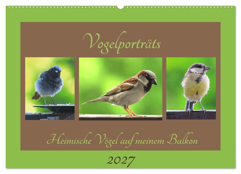 Vogelporträts - Heimische Vögel auf meinem Balkon (Wandkalender 2027 DIN A2 quer), CALVENDO Monatskalender