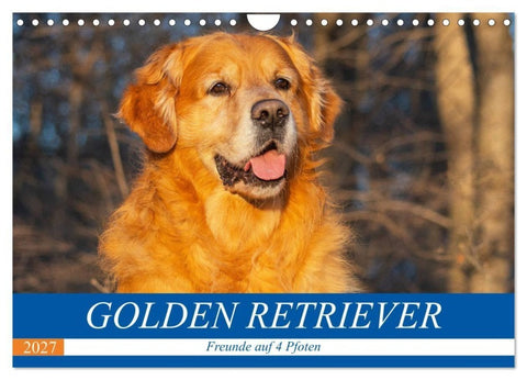 Golden Retriever - Freunde auf 4 Pfoten (Wandkalender 2027 DIN A4 quer), CALVENDO Monatskalender