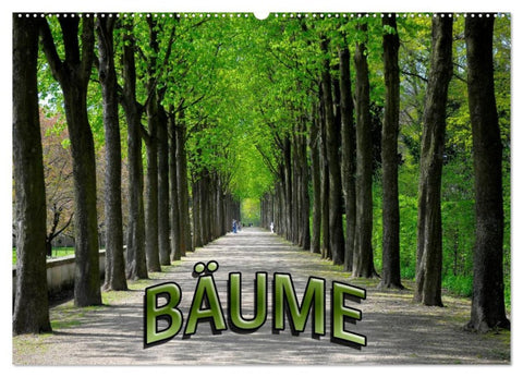 Bäume 2026 (Wandkalender 2026 DIN A2 quer), CALVENDO Monatskalender