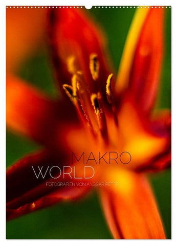 Makro World (Wandkalender 2027 DIN A2 hoch), CALVENDO Monatskalender