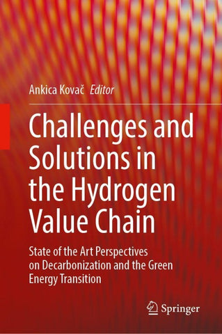 Challenges and Solutions in the Hydrogen Value Chain