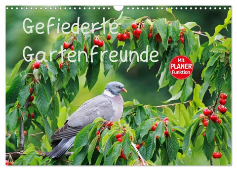 Gefiederte Gartenfreunde (Wandkalender 2026 DIN A3 quer), CALVENDO Monatskalender