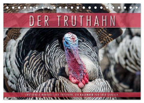 Emotionale Momente: Der Truthahn. (Tischkalender 2027 DIN A5 quer), CALVENDO Monatskalender