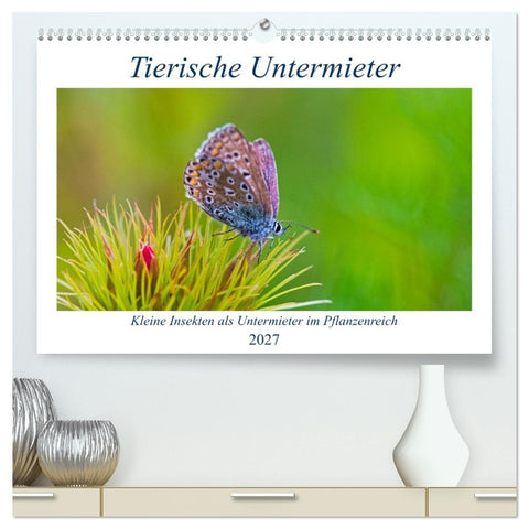 Tierische Untermieter (hochwertiger Premium Wandkalender 2027 DIN A2 quer), Kunstdruck in Hochglanz