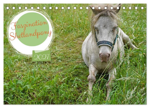 Faszination Shetlandpony (Tischkalender 2027 DIN A5 quer), CALVENDO Monatskalender