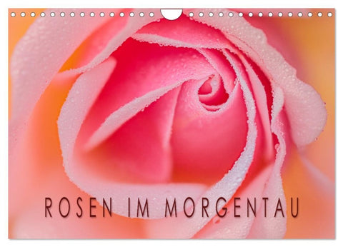 Rosen im Morgentau (Wandkalender 2027 DIN A4 quer), CALVENDO Monatskalender
