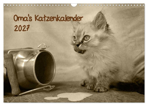 Oma's Katzenkalender 2027 (Wandkalender 2027 DIN A3 quer), CALVENDO Monatskalender