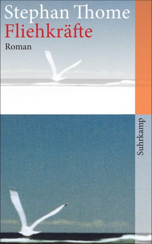 Fliehkräfte