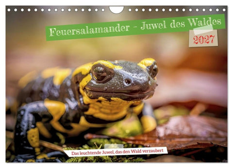Feuersalamander - Juwel des Waldes (Wandkalender 2027 DIN A4 quer), CALVENDO Monatskalender