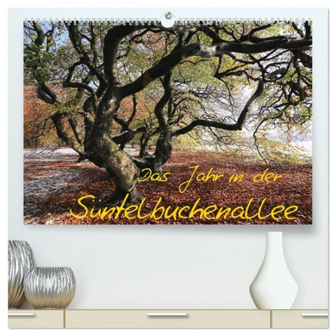 Das Jahr in der Süntelbuchenallee (hochwertiger Premium Wandkalender 2027 DIN A2 quer), Kunstdruck in Hochglanz