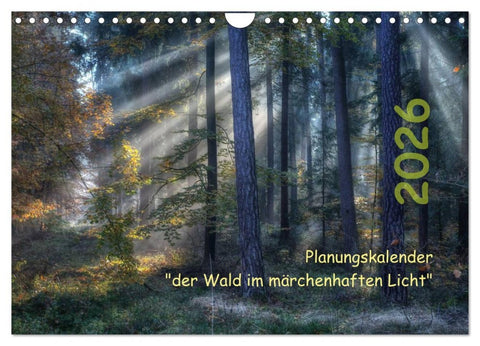 Planungskalender Märchenwald 2026 (Wandkalender 2026 DIN A4 quer), CALVENDO Monatskalender