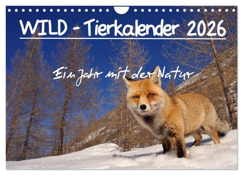 WILD - Tierkalender 2026 (Wandkalender 2026 DIN A4 quer), CALVENDO Monatskalender