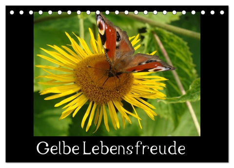 Gelbe Lebensfreude (Tischkalender 2026 DIN A5 quer), CALVENDO Monatskalender