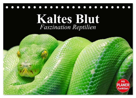 Kaltes Blut. Faszination Reptilien (Tischkalender 2027 DIN A5 quer), CALVENDO Monatskalender