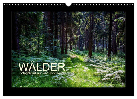 Wälder, fotografiert auf vier Kontinenten (Wandkalender 2027 DIN A3 quer), CALVENDO Monatskalender