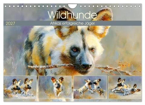 Wildhunde. Afrikas erfolgreiche Jäger (Wandkalender 2027 DIN A4 quer), CALVENDO Monatskalender