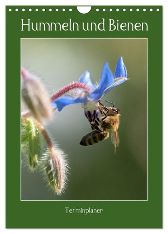 Hummeln und Bienen Terminplaner (Wandkalender 2027 DIN A4 hoch), CALVENDO Monatskalender