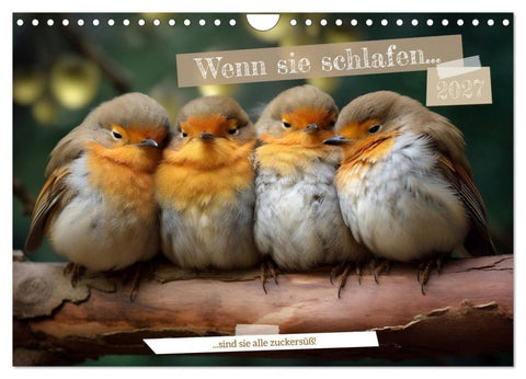 Wenn sie schlafen... (Wandkalender 2027 DIN A4 quer), CALVENDO Monatskalender