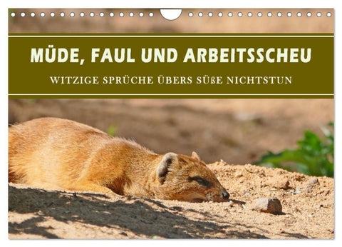 Müde, faul und arbeitsscheu (Wandkalender 2027 DIN A4 quer), CALVENDO Monatskalender